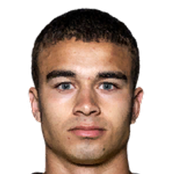 亨利克·斯科格沃尔德头像