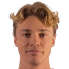 马尔文·英格布里格森头像