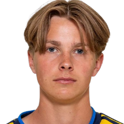 诺亚·奥斯伯格头像