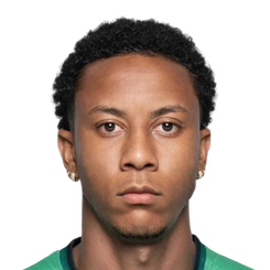 韦弗顿·兰格尔·里贝罗头像