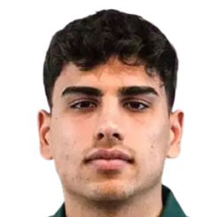 埃内斯·伊希克头像