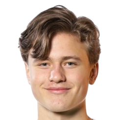 阿克·安德森头像