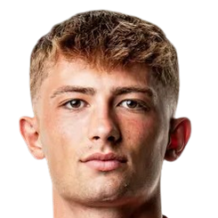 托比亚斯·劳里特森头像