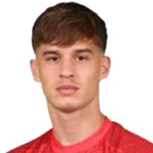 米尔切蒂奇头像