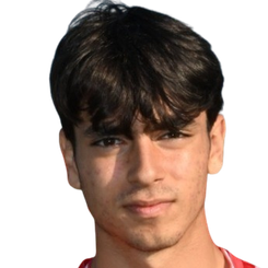 达尼洛·特雷菲莱蒂头像