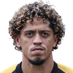 罗伯蒂尼奥头像