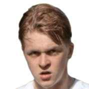 维果·瓦尔盖尔森头像