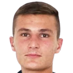 斯拉多耶维奇头像