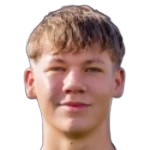 罕·史蒂文斯头像