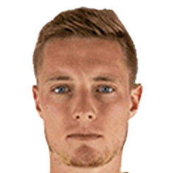 托米斯拉夫·斯特卡利头像